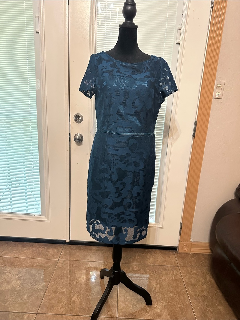 Teal Lace Overlay Short Sleeve Sheath Dress